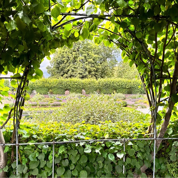 Meet your Posher, Emmy’s Edit - Picture 10 of 16